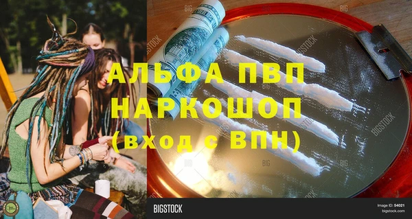 прущие грибы Аркадак