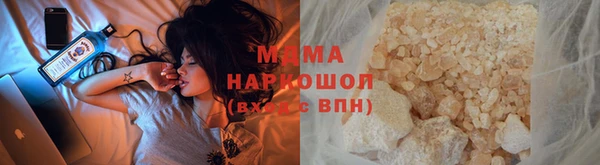 прущие грибы Аркадак