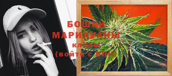 прущие грибы Аркадак
