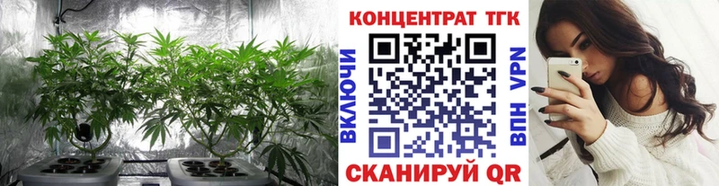 что такое   Тында  ОМГ ОМГ ТОР  Дистиллят ТГК THC oil 